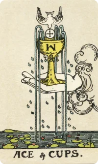 Ace of Cups
