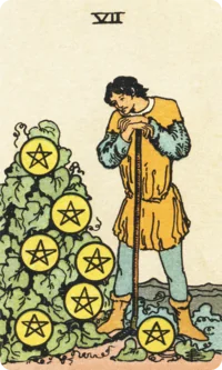 Seven of Pentacles