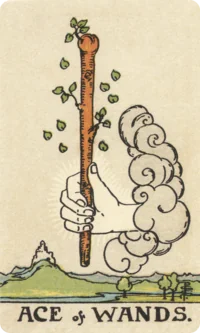 Ace of Wands